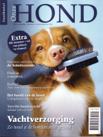 Onze Hond
