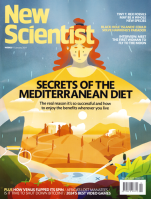 New Scientist (UK)